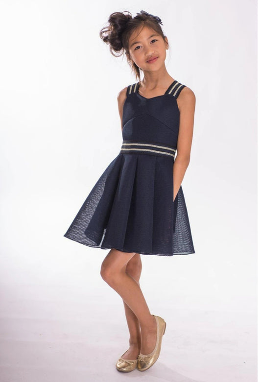 Zoe Ltd. Navy Blue Dress