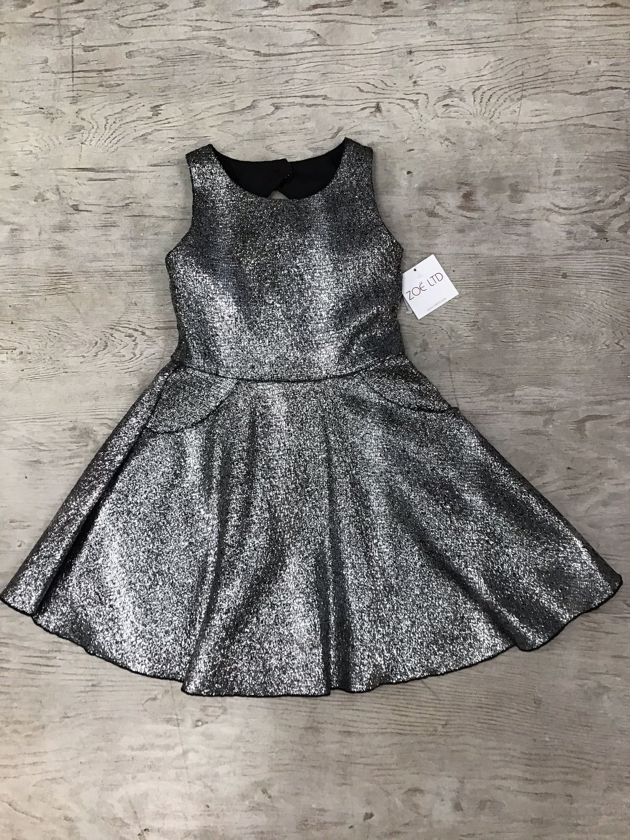 Silver "Moleskin" Dress by Zoe